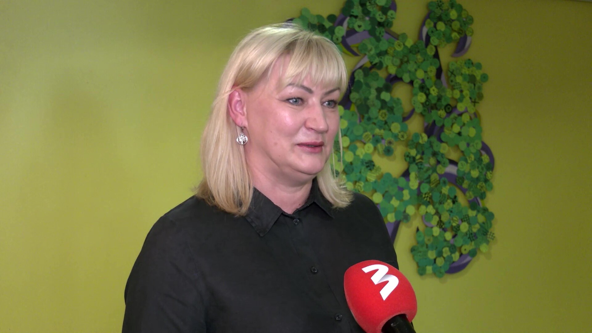 Ginta Pleša