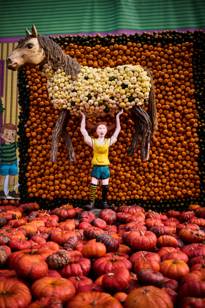 Germany Pumpkin Fest