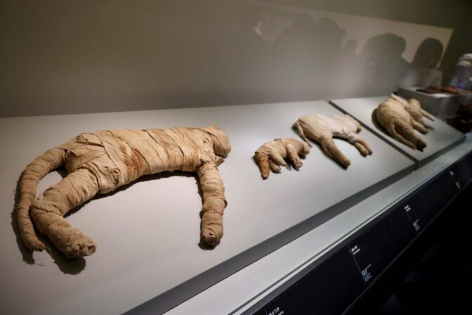 HONG KONG-CHINA-EGYPT-HISTORY-MUSEUM