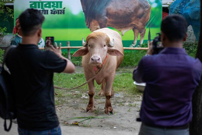 BANGLADESH-US-POLITICS-BUFFALO