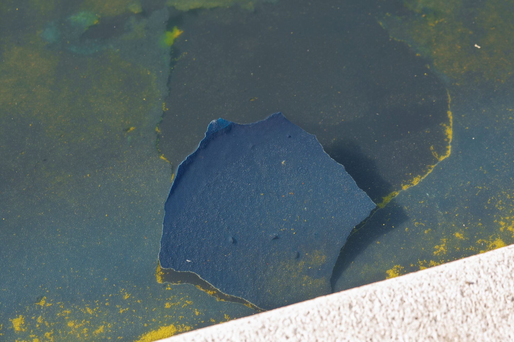 APTOPIX Lincoln Memorial Reflecting Pool