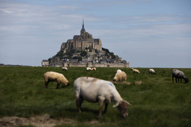 Week in Pictures, Global