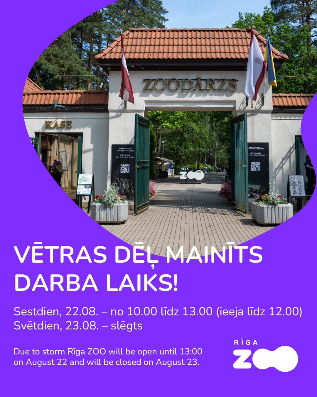 web-baneri-veetra