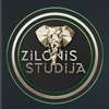 Zilonis studijā