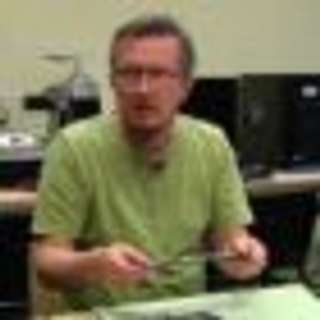 Māris Zeltiņš
