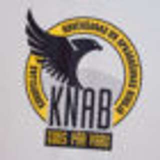KNAB atbilde 