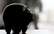 Šogad būtiski sarucis kopbudžeta pārpalikums