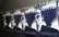 Filmu "Modris" izrādīs 30. Varšavas starptautiskajā filmu festivālā