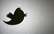 "Twitter" ar ultimātu no tirgus izspiež "Twitpic"