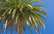 43% Latvijas iedzīvotāju ceļojumam velta vidēji 750 eiro