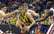 Divu Eirolīgas Stambulas klubu derbijā Fenerbahce ar 77:71 apspēlē Anadolu Efes