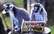 Londonas Zooloģiskajā dārzā atklāta neparasta lemuru māja