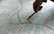 Līdz gada beigām būs zināmi īpašumi, kurus nāksies atsavināt Rail Baltica būves dēļ