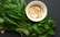 Aromātiskais lakšu pesto