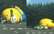 FOTO: milzu minions bloķē satiksmi Dublinā