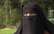 Ja aizliegs valkāt "burkas", būs jāizvairās no uzturēšanās sabiedriskās vietās, stāsta islāmā pārgājusi latviete