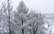 Meteorologi biedē ar krusu un sniegu… jau šonedēļ!