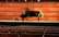 Tikai 20 gadus vecajam Latvijas pianistam piedāvā starptautisku sadarbību