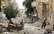 UNESCO sniegs atbalstu teroristu grupējuma Daesh izpostītajai Palmīrai