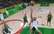 Lietuvas basketbolisti Rio turnīru sāk ar smagu uzvaru pār Brazīliju