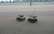 FOTO: igauņi pārsteidz ar jaunu robotu, kas nākotnē varētu piegādāt ēdienu mājās