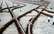 Ieguldītais darbs un ES miljardi vējā? Draud izgāzties Rail Baltica projekts