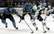 NHL klubs Sanhosē "Sharks" paraksta līgumu ar latviešu hokejistu Balceru