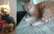 Noslēdzies laimīgo kaķu fotokonkurss – PIRMS un PĒC minka nonāca Tavā aprūpē!