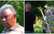 "Viņa priekšā trīsreiz nostājos uz ceļiem un lūdzos, lai nesit!" Kaimiņu konflikts tiek risināts ar motorzāģa palīdzību