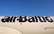 "airBaltic" sāk sadarbību ar Šveices aviokompāniju "Swiss"