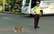Nedēļas video: policists aptur satiksmi, lai ļautu kaķim laiski šķērsot ielu