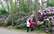 Latvijas Universitātes audzētavā uzplaukuši krāšņie rododendri