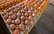 Latvijas olu ražotājus satrauc olu produktu imports no Ukrainas