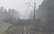 Nokritušu koku dēļ iespējami kavējumi vilcienu maršrutos līdz Slokai un Jaunķemeriem