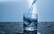 Pētnieks: Krāna ūdens Latvijā ir drošs un dzerams
