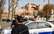 Stambulā policijas operācijā pret "Islāma valsti" 27 aizturētie