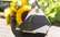 "Spēlmaņu nakts" balvas sarakstā jauna nominācija – "Gada notikums digitālajā vidē"