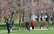 Krāšņi skati! Rīgā Uzvaras parkā uzziedējušas sakuras