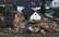 Plūdu skarto Vācijas teritoriju iedzīvotāji atgriežas savās mājās
