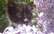 Niez acis, tek deguns? Praktiski padomi, kā "aizbēgt" no sezonālās alerģijas