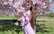 "Mēģināju diētas, bet beigās pārgāju uz badu." Jeļena Karadžana "krustugunīs" starp sātīgu ēšanu un neēšanu