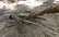 Rīgā izstrādā jaunus noteikumus, kas kokus pilsētā aizsargās labāk nekā līdz šim