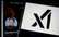 Masks sola "Twitter" logotipu nomainīt pret burtu "X"