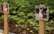 Blakus piemiņas memoriālam Jelgavā nelegāli ierīko kaķu atdusas vietu