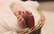 Vidzemes slimnīcā piedzimušajiem trīnīšiem plāno piešķirt 15 000 eiro pabalstu