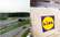 "Lidl" būvēs veikalu Bauskā; nopērk īpašumus par 1,26 miljoniem eiro