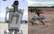Ķīna demonstrē "militāros krančus" – robotsuņus, kas šauj un spēj piedalīties misijās