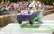 FOTO: Dullo sacensību "Red Bull SoapBox Race" uzvarētāji ir noskaidroti