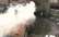 Jelgavas privātmājā izceļas postošs ugunsgrēks, divi sirmgalvji nokļūst slimnīcā