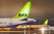 Tikai 3% iedzīvotāju uzskata, ka "airBaltic" pārvaldība uzlabojusies